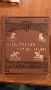 The Horse In Motion As Shown By Instantaneous Photography by ...