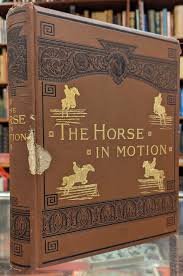 The Horse in Motion | J D. B. Stillman