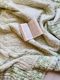 Hand Block Print Cotton Quilt: Jaipuri Reversible Queen Razai ...