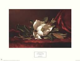 The Magnolia Flower Fine Art Print by Martin Johnson Heade at FulcrumGallery.com
