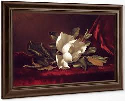 The Magnolia Blossom By Martin Johnson Heade Print or Oil Painting Reproduction from Cutler Miles.