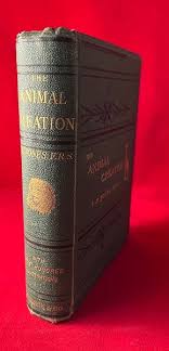 The Animal Creation: A Popular Introduction to Zoology | Thomas Rymer JONES | First Edition