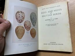1951 "EGGS & NESTS OF BRITISH BIRDS" RICHARD L E FORD ...