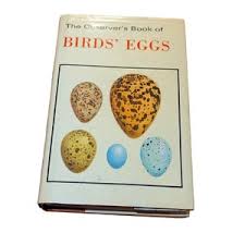 True Vintage 1969 the Observer's Book of Birds Eggs, G Evans ...