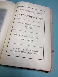 Vintage THE POETICAL WORKS OF ALEXANDER POPE POEMS ILLUSTRATED LEATHER BOOK | eBay