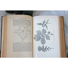 Works of Ruskin 12 Volume Set Cloth Covers With Gold ...