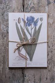 Stationery | Illustrated Botanical Floral Notecard Sets ...