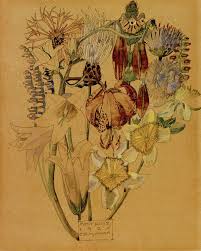 Flower Study, Mont Louis Art Print by Charles Rennie ...