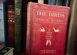 The Birds and Their Story - A Beautiful Old Book With Gold ...