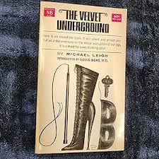 The Velvet Underground by Michael Leigh: Near Fine Soft ...