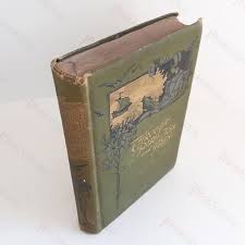 Through Peril, Pain and Toil by Taylor, Lucy: Very Good ...