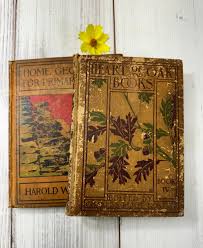 Vintage Books, Primary Readers With Illustrations, Early ...