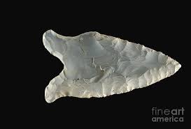 Hardway-dalton Point by Carolina Biological Supply Company ...