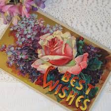 Antique 1919 Purple Iris Shells Cottage Best Wishes Postcard - Etsy