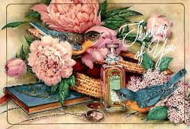 California, Agon 1908, American Kestrel, Mutor, Julie, Apollo Postcard | eBay