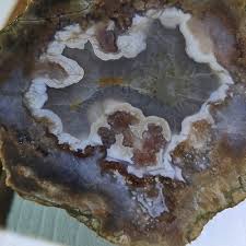 Kentucky agate faced rough Estill county 1LBS 3.5 oz. | eBay