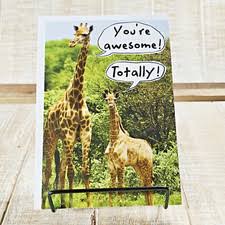 Cash Burning a Hole in My Pocket Green American Greetings Funny Birthday Card for sale online | eBay