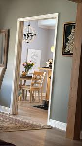 Why does my grey kitchen paint have a purple undertone?