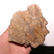 Big Chunk of Triceratops Frill Fossil from the Hell Creek ...