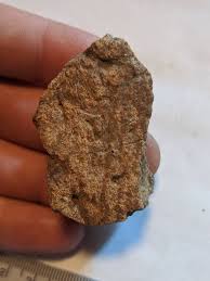 Triceratops Horned Dinosaur Frill Bone Specimen, South ...