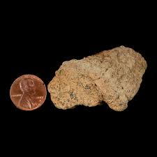 2 Pachycephalosaurus Dinosaur Skull Dome Fossil Lance Creek ...