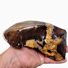 RARE Classic Oregon Biggs Picture Jasper Rough Chunk!