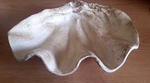 Decorative Clam Shell Figurine 9.5" - Tabletop Décor | eBay