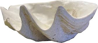 Giant Clam Shell – Patina Polished Living