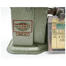 Vintage 1963 Triner Airmail Accuracy Scale Model AA-1 Postal Good . For Sale at Ruby Lane