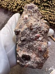 Decorative Rocks / Stone From Arizona : Pick Option 1 or ...