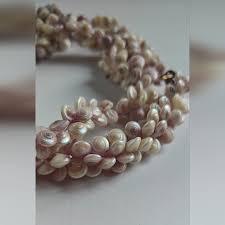 Jewelry | Iridescent Real Trochus Shell Necklace | Poshmark