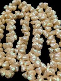 Vintage Shell Necklace | eBay