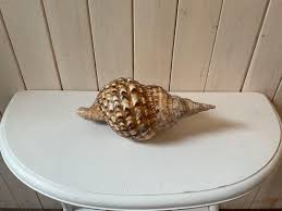 Seashell Cottage - Etsy Canada
