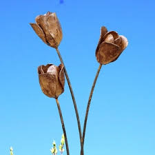 Rusty Tulip - Etsy UK