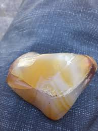 Hey there. Can someone help ID this little gem? Fraser Valley, BC, Canada | Facebook