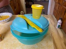 Tammy's Tupperware Bonanza