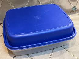 Blue Tupperware Meat Tenderizer/Marinate1295-8 Bottom 1294-8 ...