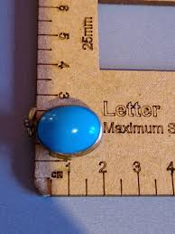 Buy Victorian Robin's Egg Blue Glass Locket: Rare Brass Pendant (1800s, 2cm, No Chain) Online in India - Etsy