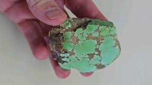 Grasshopper Turquoise/ Faustite 50g/SOLD #Americanturquoiseonline #MarkBacaTurquoise