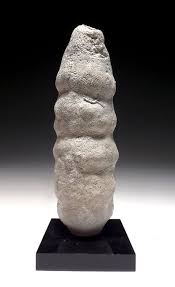 RARE DINOSAUR-ERA FOSSIL SEA SPONGE WITH THREE-DIMENENSIONAL ...