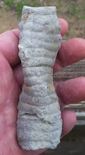 Another trip to the Fort Payne - Fossil Hunting Trips - The ...