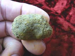 PP450-84) 1" Genuine Fossil TURTLE POOP Coprolite DUNG WEIRD ...