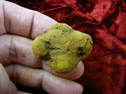 PP450-88) 1" Genuine Fossil TURTLE POOP Coprolite DUNG WEIRD ...
