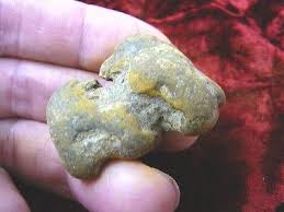 (PP462-11) 1-5/8" Genuine Fossil TURTLE POOP Coprolite ...
