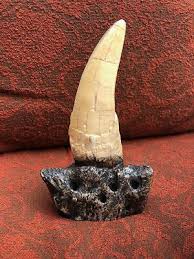 T-Rex - Tyrannosaurus Rex - Dinosaur Tooth Fossil Replica On ...