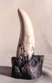 T-Rex Tooth | Fossil Replica