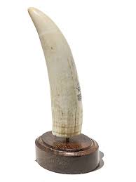 K, Petersen Scrimshaw - Plowing Through the Seas - Scrimshaw ...