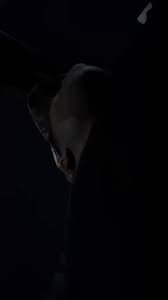 Lilmar 🌴 | New tape otw 😈#70 | Instagram