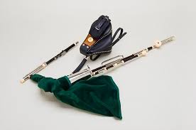 Upgrade from Practice Pipe to Half-Set Uilleann Pipes