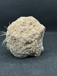 Uv Florescent Mexican Geode Agate Chalcedony Calcite Quartz ...